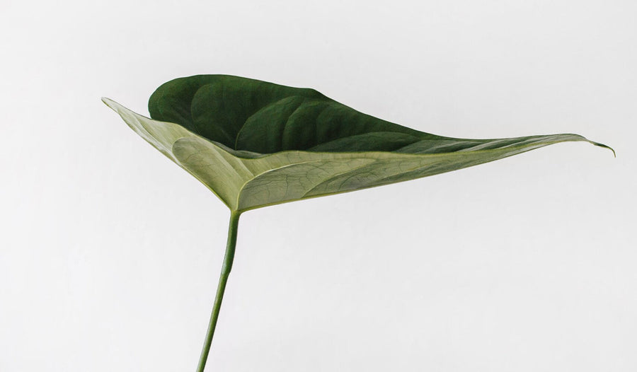 4 of the Biggest Myths In Clean Beauty Packaging